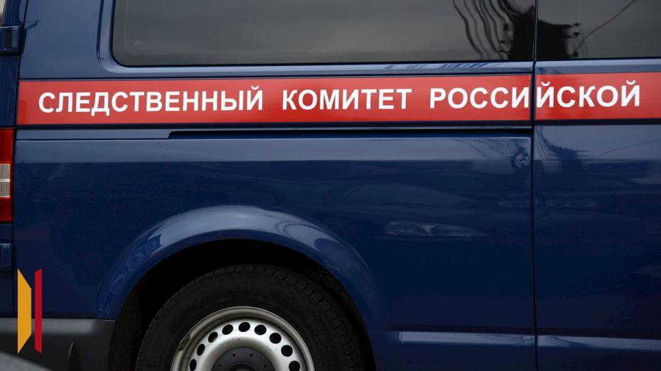 Глава СК запросил доклад по делу об отключении света в воронежских СНТ «Дальние сады» и «Ближние сады»