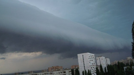 Гидрометцентр на 2 дня объявил желтый уровень опасности из-за грозы в Воронежской области