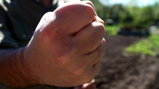 В Воронежской области смолянин пойдет под суд за нападение на полицейского