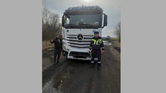Панинские автоинспекторы помогли съехавшему с дороги водителю грузовика