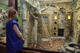 Окна в джунгли. В воронежском зоопарке открыли новый зал для теплолюбивых животных