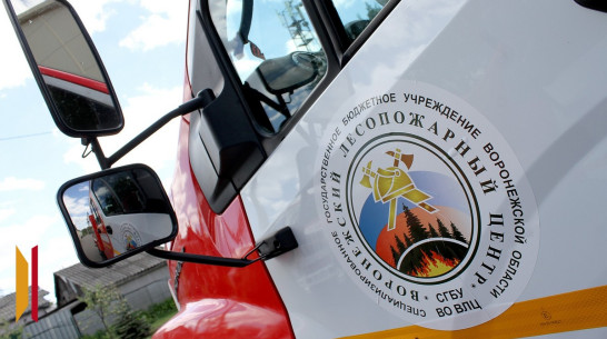 Высокий уровень пожарной опасности установился в воронежских лесах