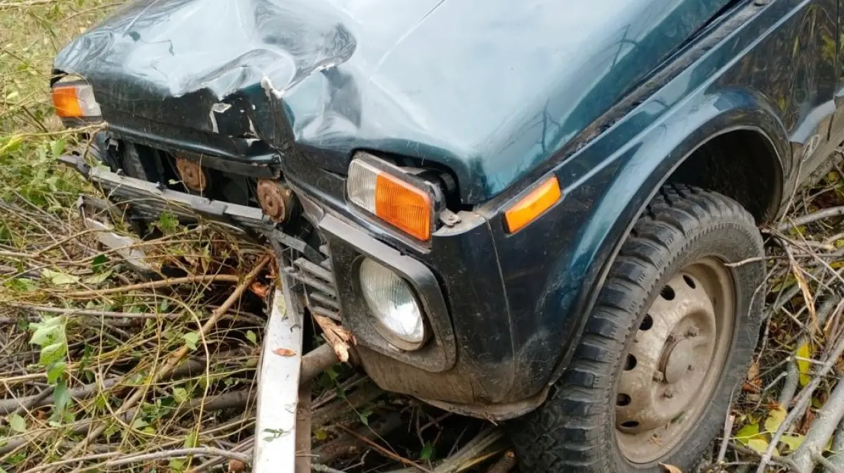 Нива» врезалась в дерево в Воронежской области: пострадали 2 пенсионерки