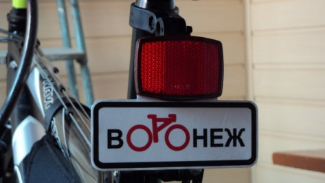 В Воронеже ищут профессионального велосипедиста-общественника