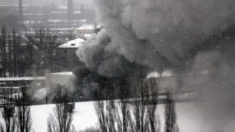 Пожар на хладокомбинате в Воронеже потушили усилиями 75 спасателей