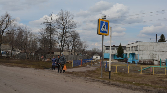 В Нижнедевицких селах пешеходные переходы оборудовали подсветкой