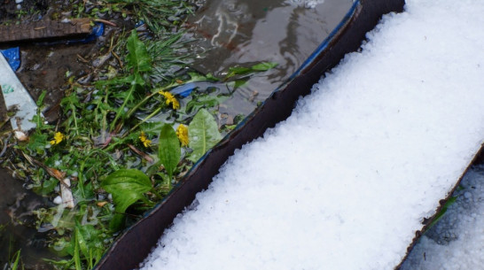 Синоптики предупредили воронежцев о граде и ливнях