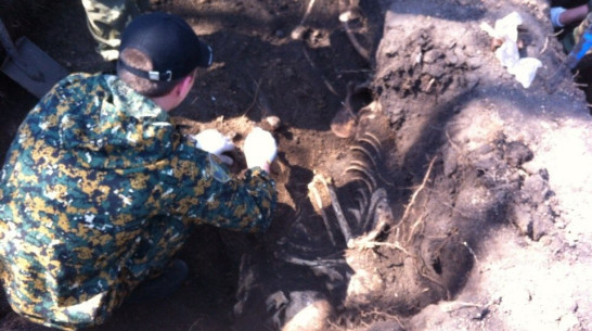 Четырех узников фашистского концлагеря под Воронежем опознают по солдатским медальонам