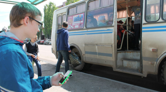 В Борисоглебске создали мобильное приложение о расписании общественного транспорта