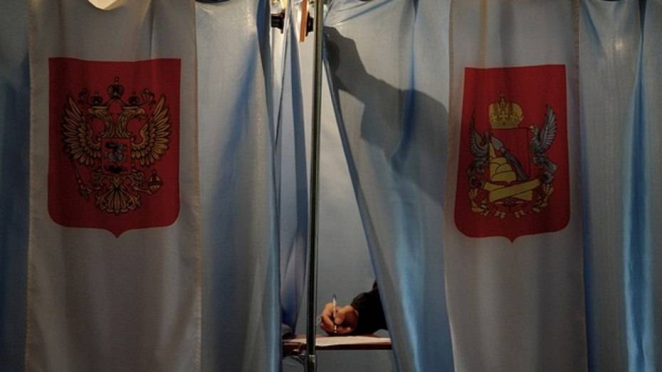 В Воронежской области назвали получившие право участвовать в выборах партии