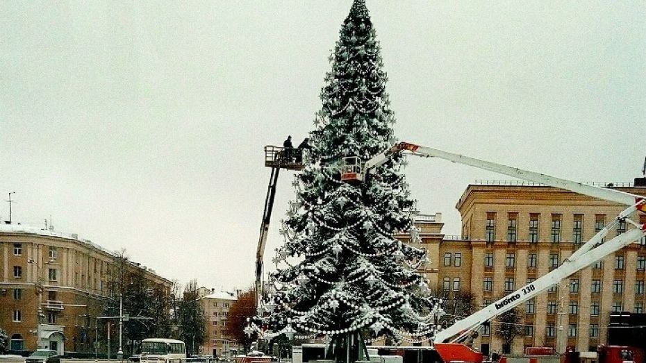 В Воронеже завершили установку центральной новогодней елки