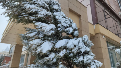 Гололед, ветер и сильный снег ожидаются в Воронежской области