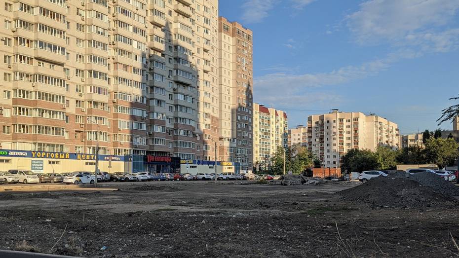 Снос площадки для выгула собак в центре Воронежа встревожил горожан
