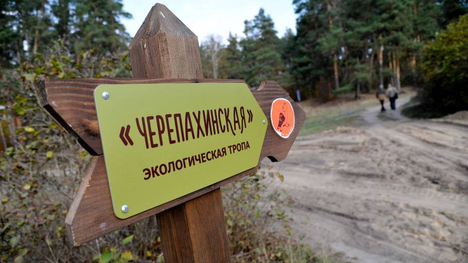 Воронежский заповедник продлил время работы экскурсионных объектов на час