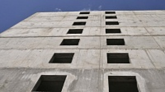 Вопросами застройки Воронежа займется специальная комиссия