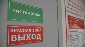 На обработку очагов инфекций в Воронежской области готовы потратить более 22 млн рублей