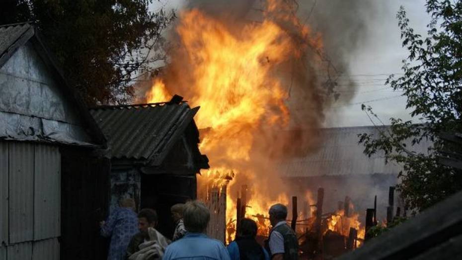 В Таловском районе из-за детской шалости сгорели два сарая