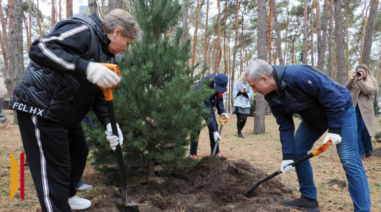 Врио губернатора Воронежской области Сергей Трухачев принял участие в общеобластном субботнике
