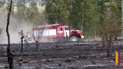 Половина Воронежской области оказалась в зоне чрезвычайной пожарной опасности