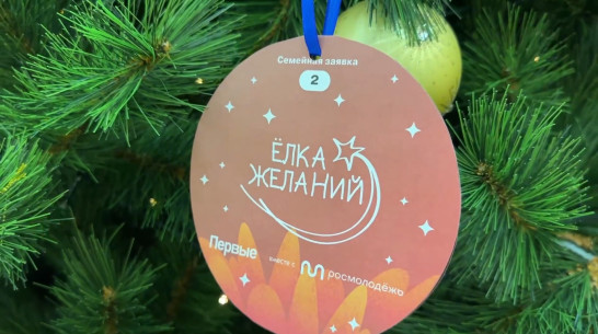 Губернатор Александр Гусев исполнит новогодние желания 4 воронежских детей