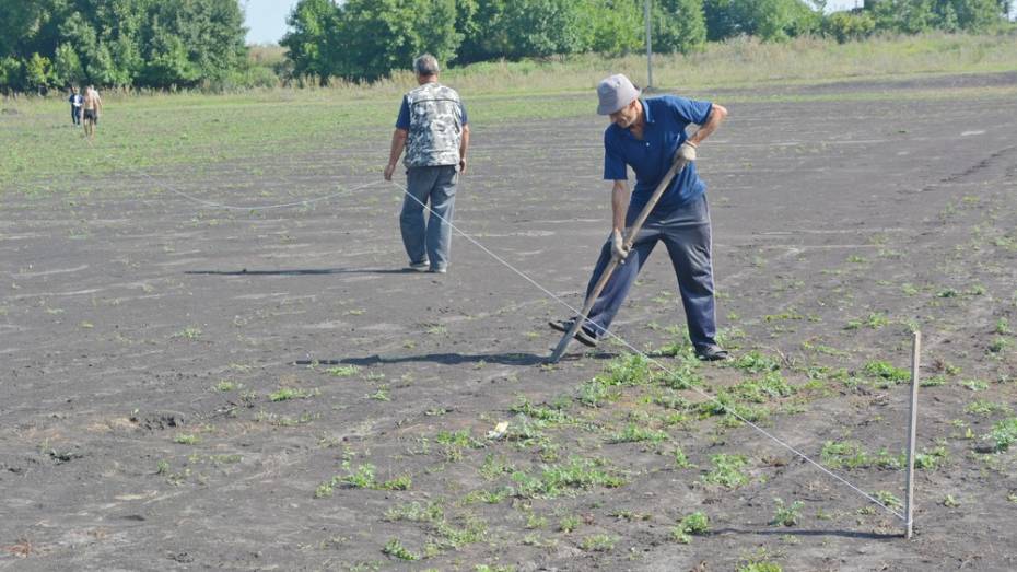 В нижнедевицком селе общественники благоустроят новое футбольное поле