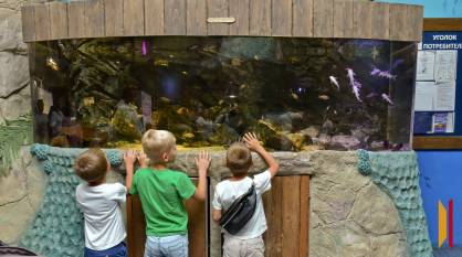 Воронежскую область признали одним из лучших регионов для многодетных семей по итогам 2025 года