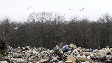 Росприроднадзор раскритиковал мусорный полигон в Воронежской области