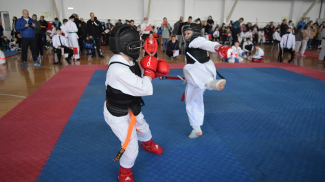 В Воронежской области утвердили программу развития детско-юношеского спорта