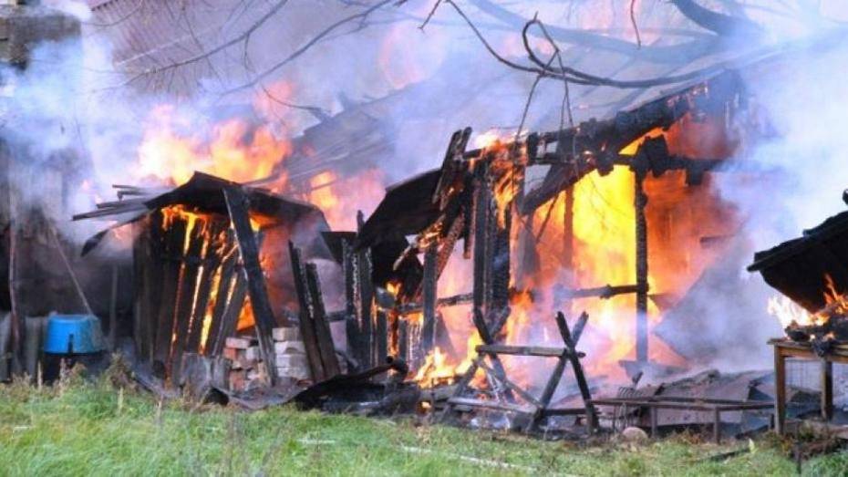В Терновском селе сгорели 2 дома