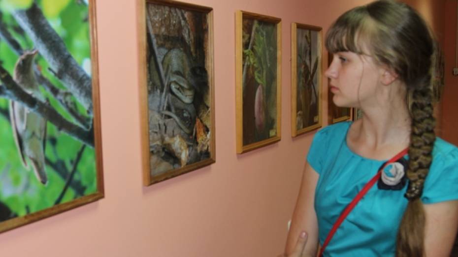 В Новохоперском краеведческом музее открылась выставка  «Зеленый дым»