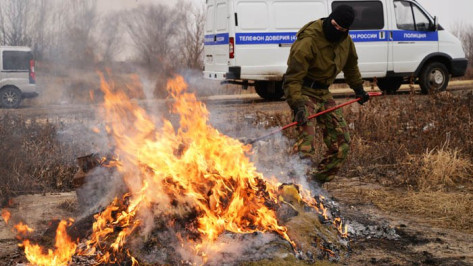 В Воронеже сожгли 70 кг наркотиков