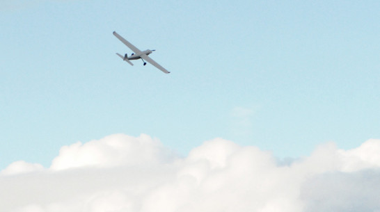 Появилось фото упавшего в Воронежской области БПЛА