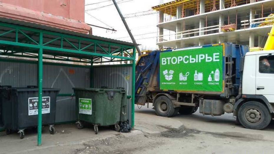 Воронежцам назвали адреса контейнерных площадок для раздельного сбора мусора