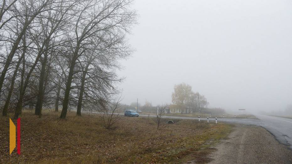 В ночь на 11 октября Воронежскую область вновь накроет туман