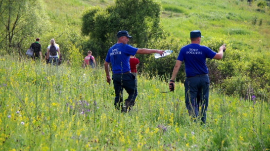 Под Воронежем пропавший без вести 3-летний ребенок умер от обезвоживания