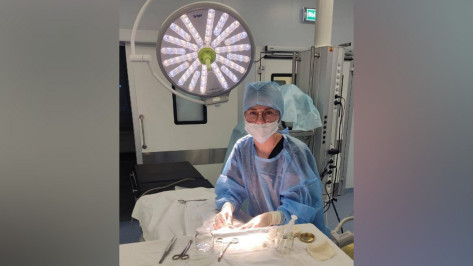 Воронежские врачи восстановили ухо трехлетнему ребенку после укуса собаки