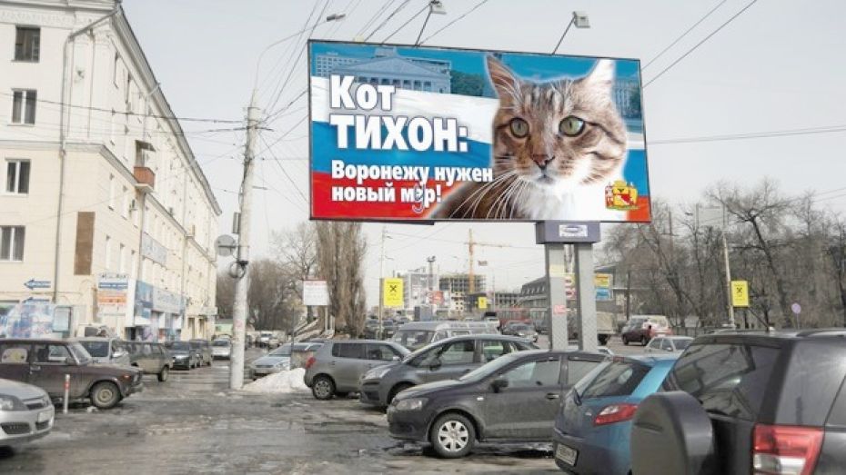 В Воронеже за кресло мэра будет бороться кот