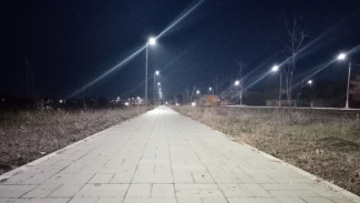 Уличное освещение от рынка до поселка Солнечный сделали в Павловске 