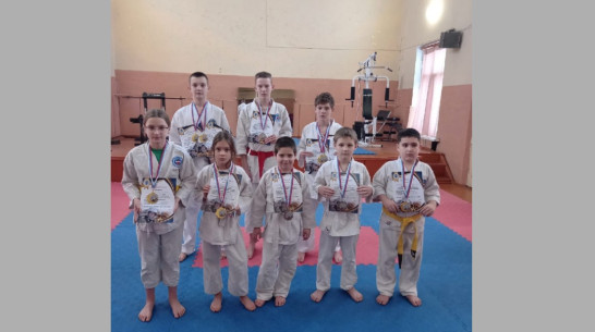Юные верхнехавские каратисты завоевали 7 золотых медалей на областных соревнованиях
