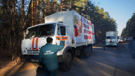 МЧС России доставило в Донбасс 52,5 тыс т гуманитарной помощи
