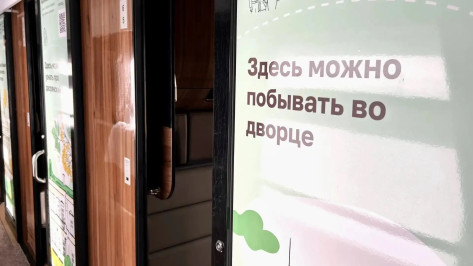 Воронежские достопримечательности украсили двери в вагонах поезда до Москвы