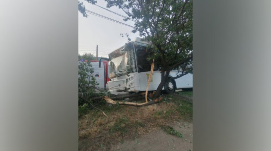 В автобусе, который врезался в ограждение в Воронеже, находилось 35 пассажиров