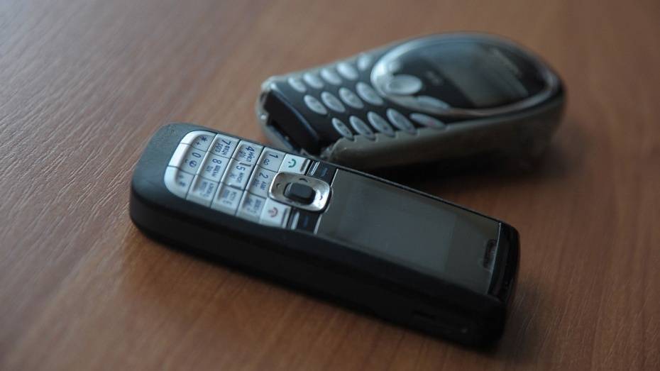 В Воронежской области неизвестные перебросили в колонию 10 телефонов