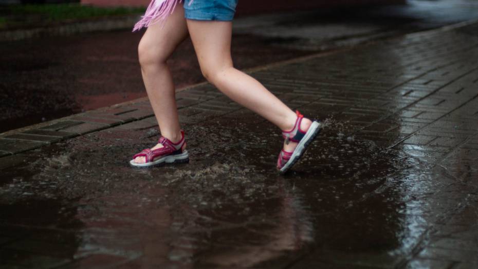 В Воронежской области снизилась пожарная опасность