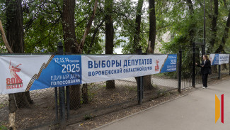 В Воронежской области общая явка по итогам двух дней голосования составила более 40 процентов
