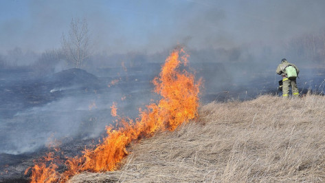В Бутурлиновском районе за 4 дня произошло 36 ландшафтных пожаров