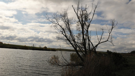 На водоемах Воронежской области погибло 112 человек в 2017 году