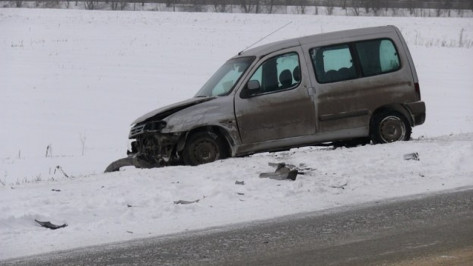 Воронежские спасатели вновь предупредили о сильном снеге и гололеде