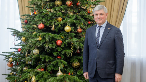 Губернатор Александр Гусев поздравил воронежцев с Рождеством