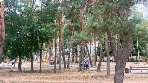 В Воронеже на благоустройство сквера на улице Переверткина выделят более 1 млн рублей